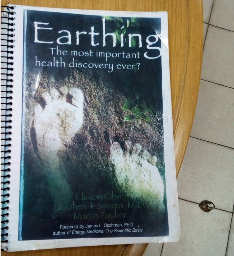 Earthing book-1